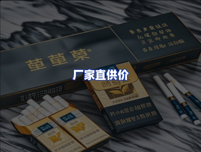 专业团队